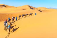 7 days tour from Casablanca to Sahara via Chefchaouen
