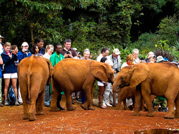 12Days Best of Kenya and Tanzania Wildlife Safari