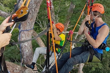 Tree Climbing Adventure in the Amazon Rainforest, Manaus