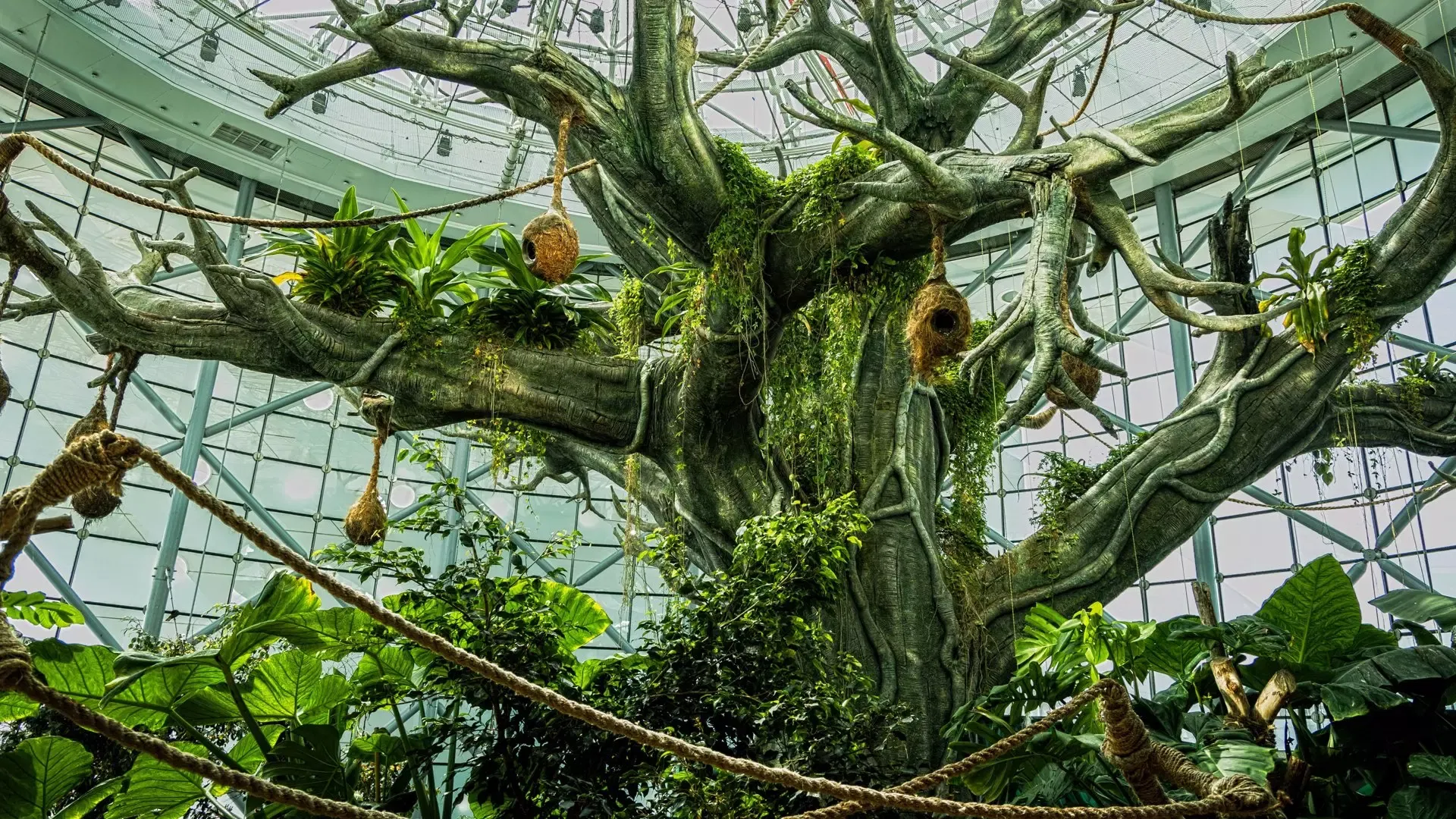 The great indoor tree with woven nests and rope bridges beneath the glass dome at The Green Planet Dubai
