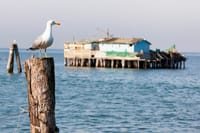 Lido, Pellestrina & Chioggia: Bike Hopping around the Venice Lagoon Islands 1