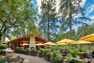 Vancouver City Tour With Stanley, Grouse Mountain & Capillano Suspension Private