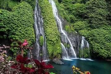 Private Nature Tour of Beratan Lake and Banyumala Waterfall