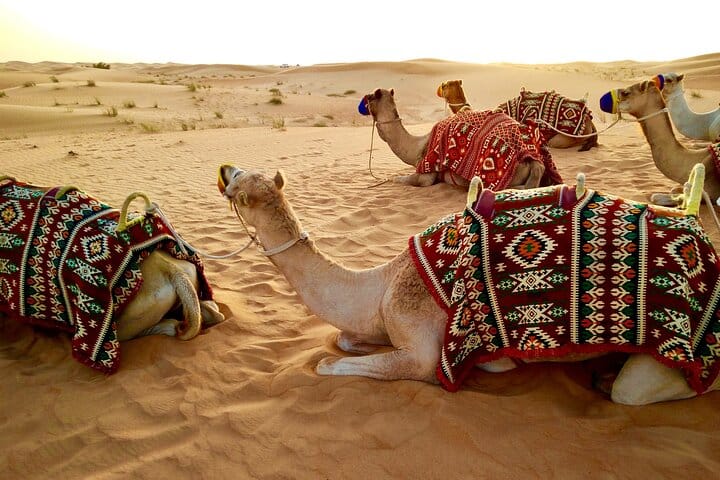 Dubai Premium Desert Safari 8