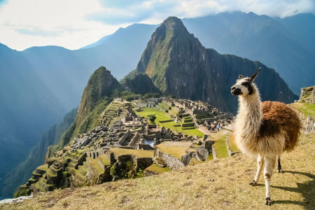 Cus-02 : Machu Picchu Express – The Wonder of Peru