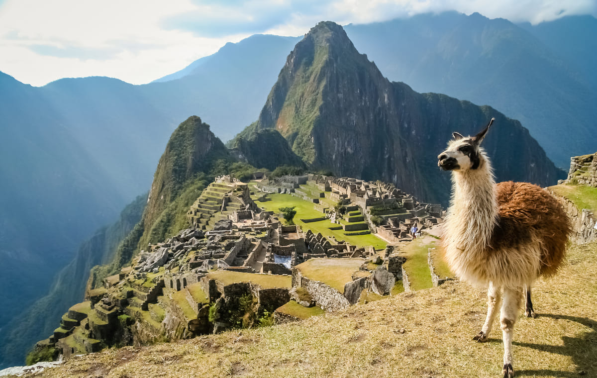 Cus-02 : Machu Picchu Express – The Wonder of Peru