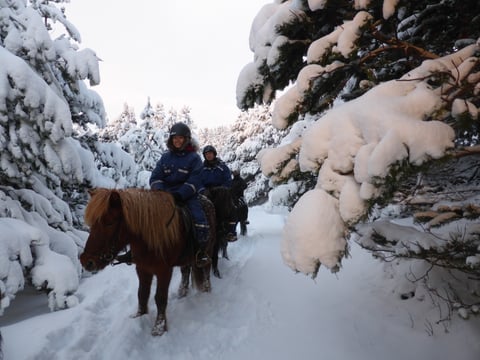 03C - Horses and Hot Springs, photo 5