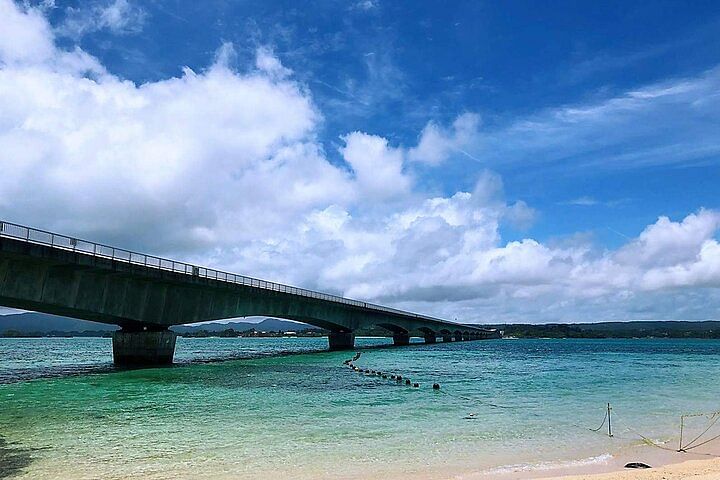 American Village &Okinawa Churaumi Aquarium Tour from Naha/Chatan