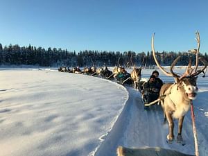 3 km Super reindeer safari, Levi