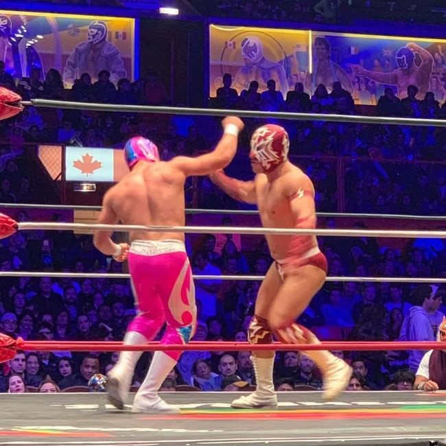 Nightlife Mexican Tour: Cantinas Mariachi and Lucha Libre