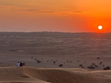 Half-Day ATV Adventure in Wahiba Sands, Muscat