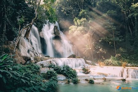 Jungle Trek to Stunning Kuang Si Waterfall & Bear Sanctuary in Luang Prabang