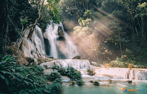 Jungle Trek to Kuang Si Waterfall from Luang Prabang full day tour