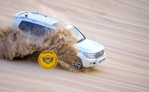 Doha Desert Adventure: Dune Bashing and Camel Riding Tour