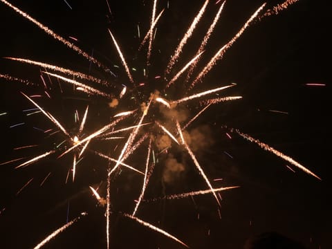 Reykjavík New Year's Eve Celebration at Sea, photo 3