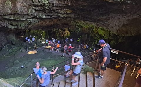 Small Group Cultural Tour of Krasi and Lasithi Plateau