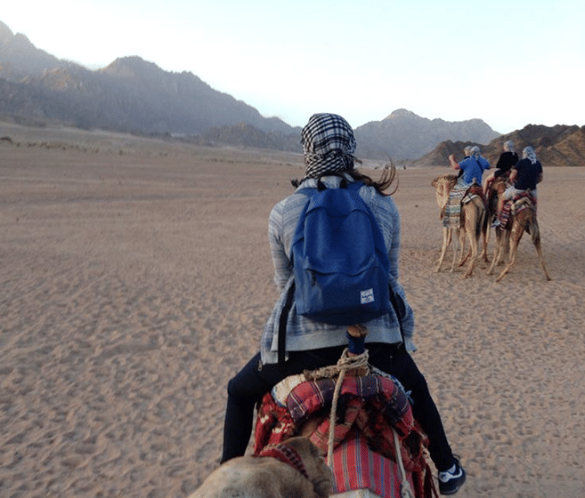 Echoes of the Desert: ultimate safari