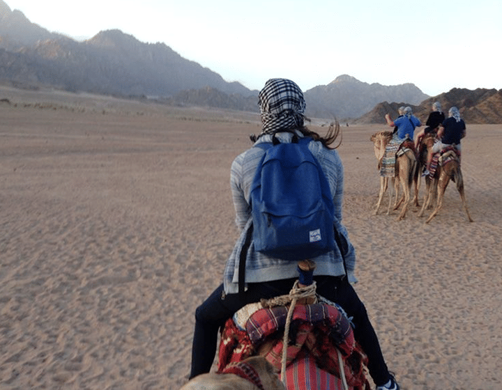 Echoes of the Desert: ultimate safari