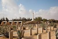 Alexandria : Private El Alamein War Tour from Alexandria 2