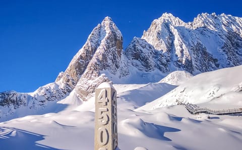Jade Dragon Snow Mountain and Blue Moon Valley Tour in Lijiang