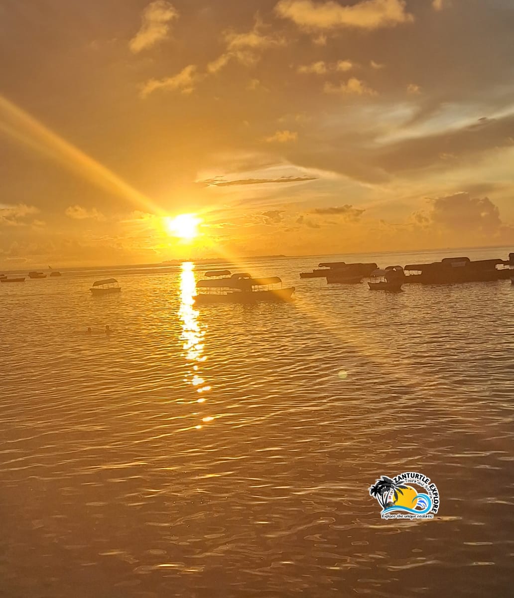 Zanzibar Safari Blue Snorkeling Trip with Lunch