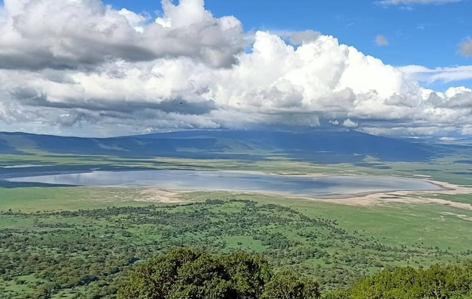 Ngorongoro Crater Wildlife Safari Day Trip from Arusha