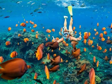 Full Day Snorkeling Trip to Marsa Mubarak from Marsa Alam