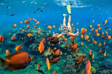 Full Day Snorkeling Trip to Marsa Mubarak from Marsa Alam