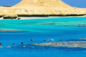 Full-Day Snorkeling Tour at Dolphin House National Park, Hurghada