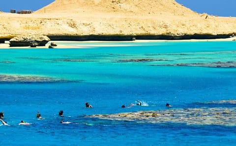 Full-Day Snorkeling Tour at Dolphin House National Park, Hurghada