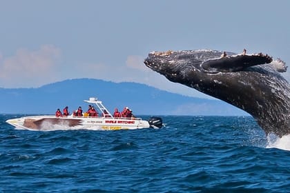 The Isle of The Pearl – 14 Days Tour