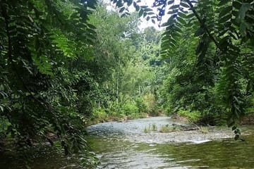 30 Minutes Khaolak ATV Quadbike & Waterfall Adventure