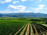 Plovdiv and Thracia Valley with Wine Tasting 8