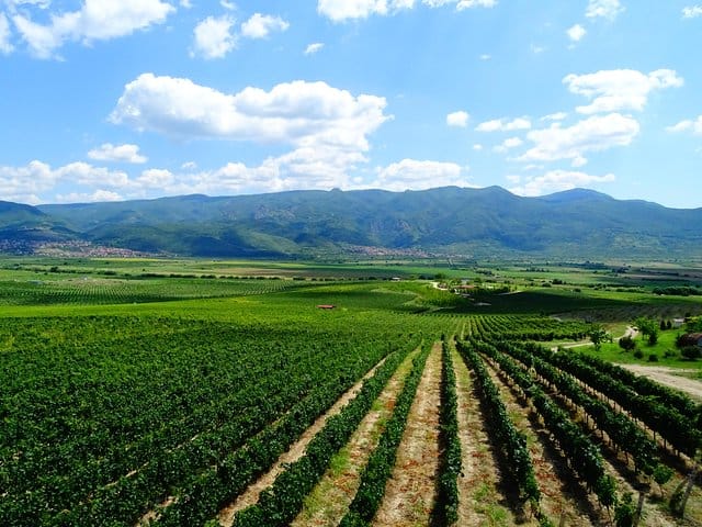 Plovdiv and Thracia Valley with Wine Tasting 8