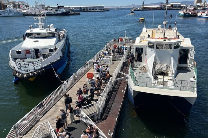 Robben Island Museum Ticket Ferry Half Day Tour