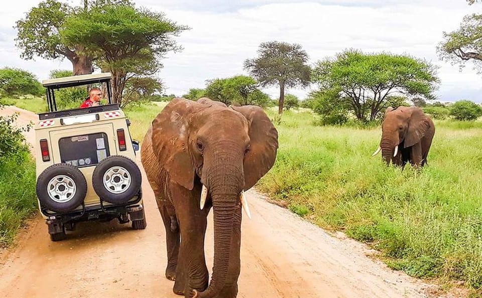Luxury 4-Day Wildlife Safari in Nairobi, Kenya