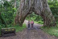 9-Day Great Migration & Crater Safari 5