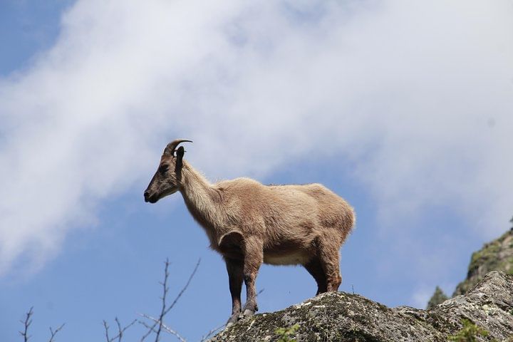 Everest Base Camp – Cho La Pass – Gokyo Ri Trek