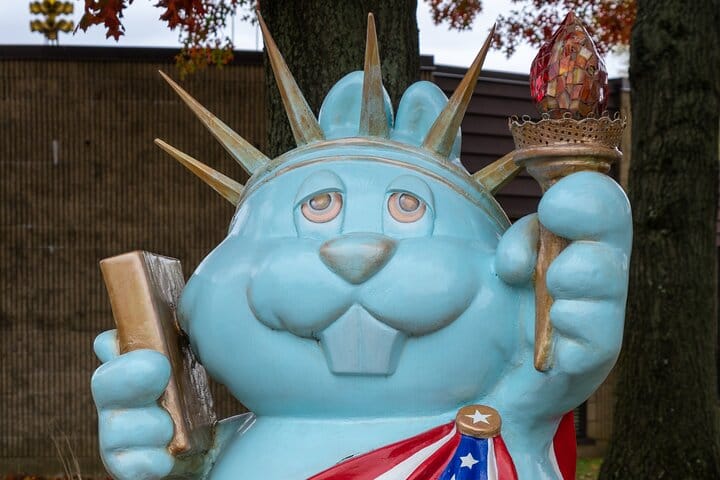 Punxsutawney Groundhogs, Weather, Bill Murray & More in Self-Guided Walking Tour 2