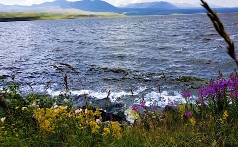 Fishing Adventure in Tsalka from Tbilisi