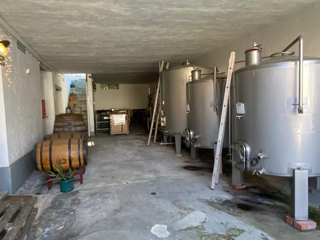 Taste of Tradition: Olive Oil, Wine & Fish 10