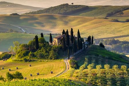 Tuscan Truffle Hunting, Cooking Class & Wine Tasting in Chianti