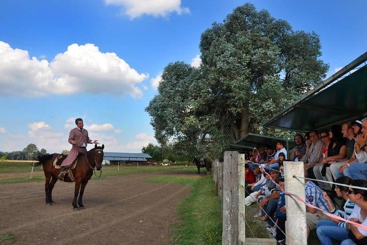 Don Silvano Ranch Gaucho Day Trip from Buenos Aires