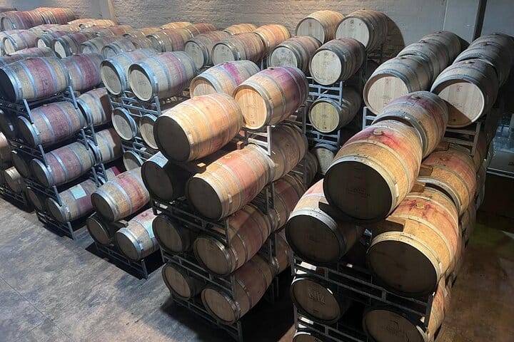 Giraffe Encounter and Lion Park with Wine Tasting in Stellenbosch