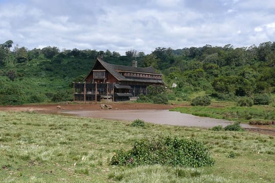 1-Day Aberdare Safari