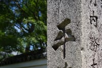 Kyoto Uji Matcha Morning Tour with English Speaking Guide 9