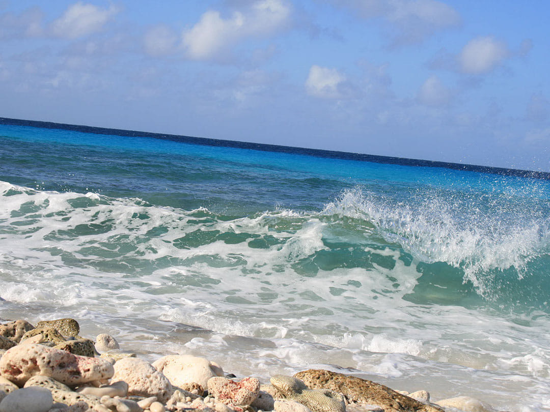 South Tour with Local Guide