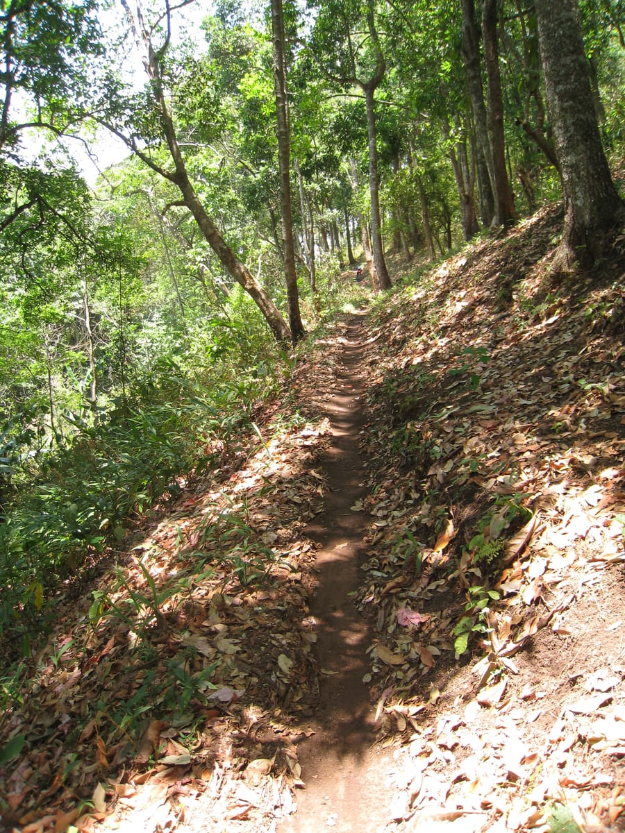“BIKE 6x” Full Day “The Eliminator 2” Advanced Cross Country DH Ride, Chiang mai