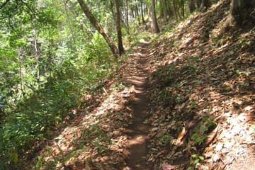Advanced Mountain Biking Tour in Suthep, Chiang Mai