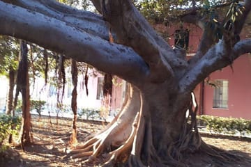 Seven-Day Sicily Tour: Agrigento, Catania, and Cefalu